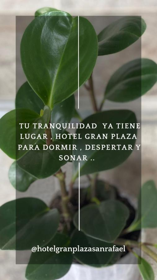 Hotel Gran Plaza San Rafael San Rafael  Esterno foto
